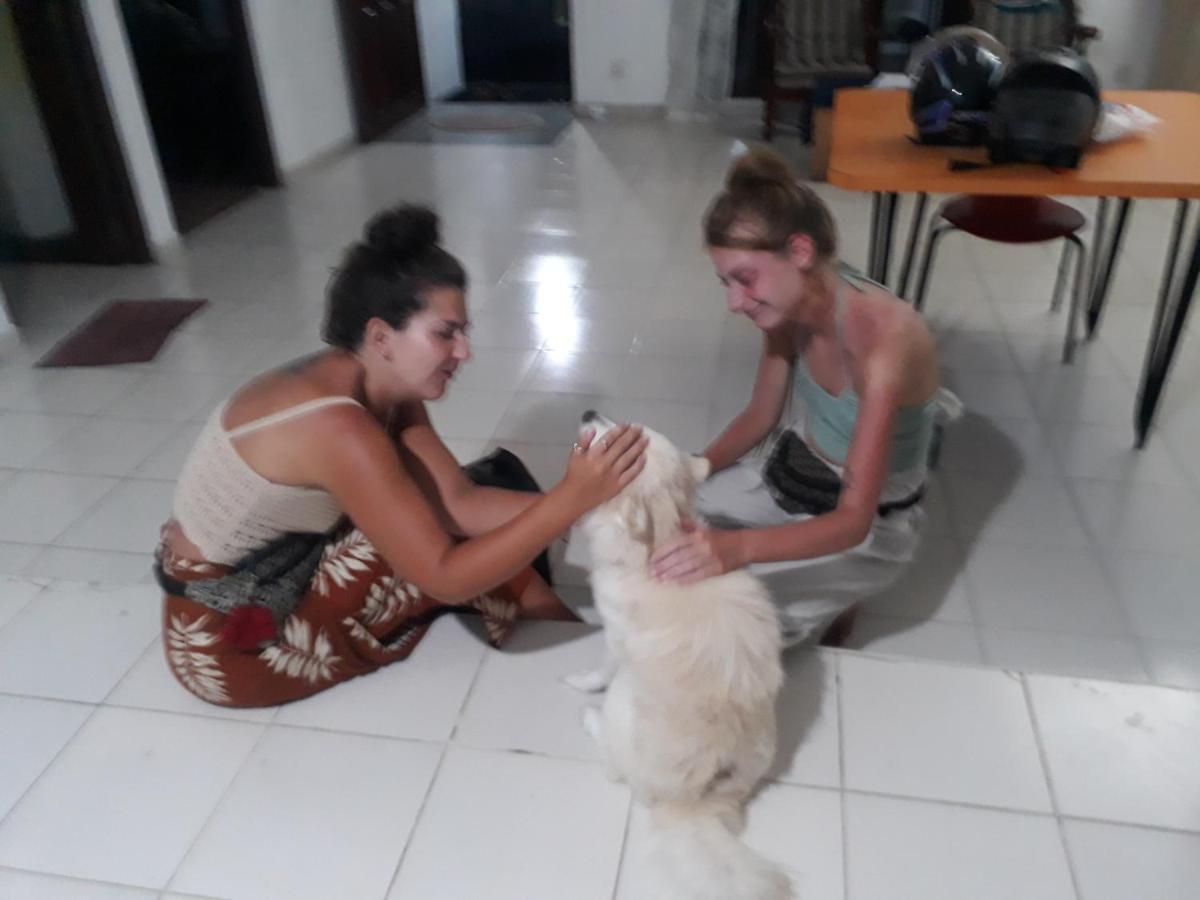 Jungle City Hostel Galle Eksteriør billede