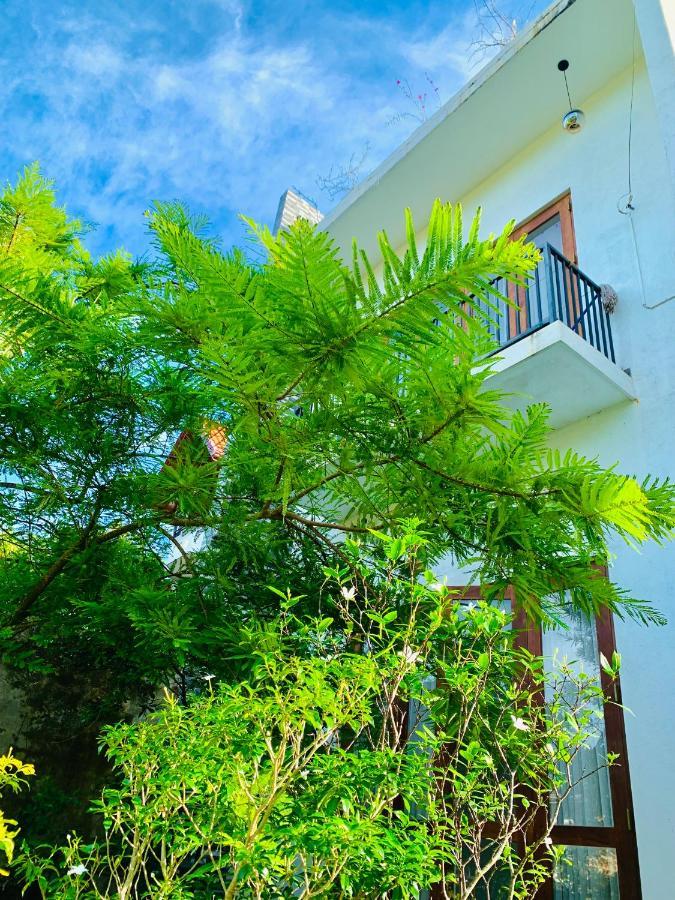 Jungle City Hostel Galle Eksteriør billede