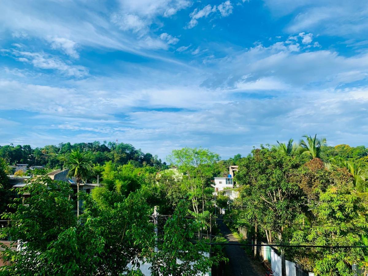 Jungle City Hostel Galle Eksteriør billede