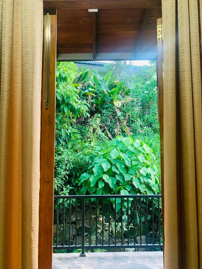 Jungle City Hostel Galle Eksteriør billede