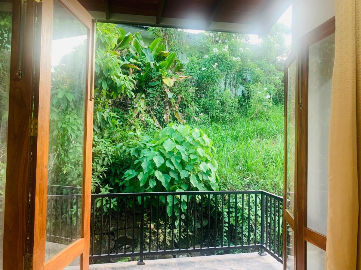Jungle City Hostel Galle Eksteriør billede