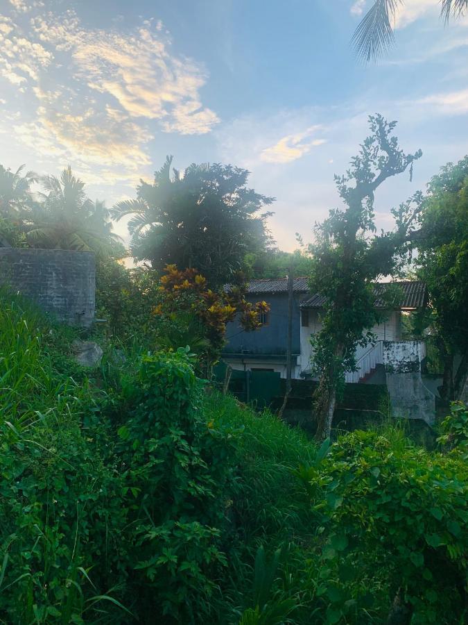 Jungle City Hostel Galle Eksteriør billede