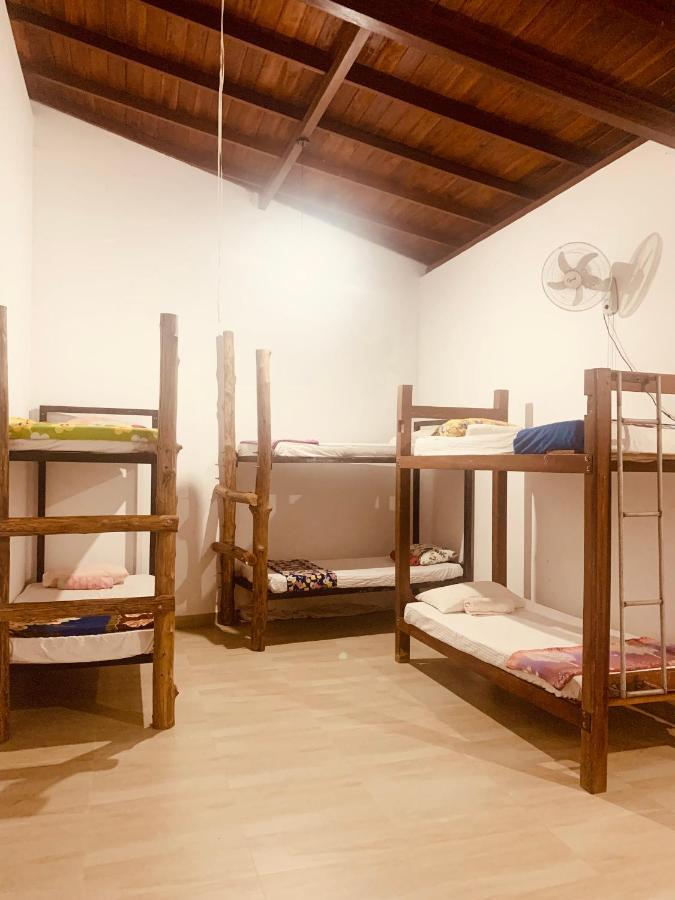 Jungle City Hostel Galle Eksteriør billede