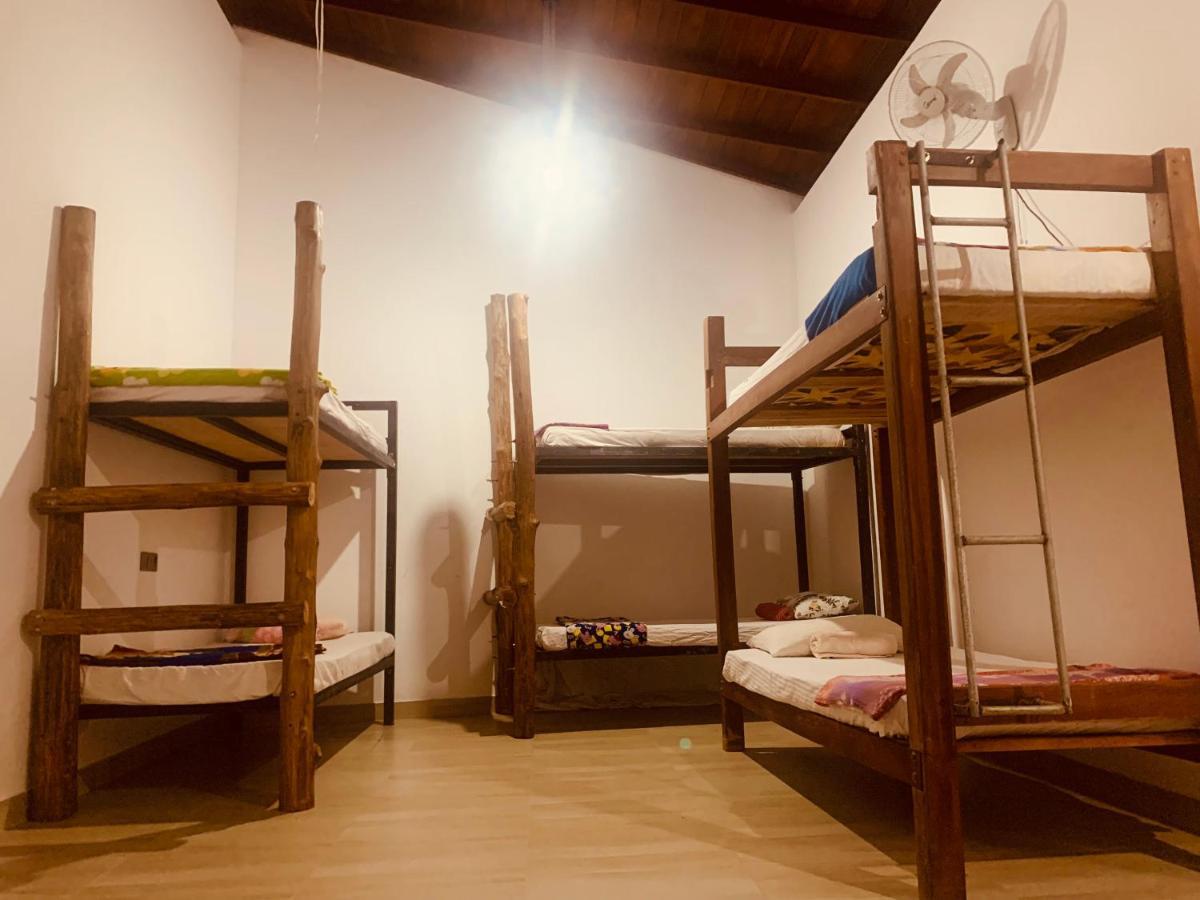 Jungle City Hostel Galle Eksteriør billede